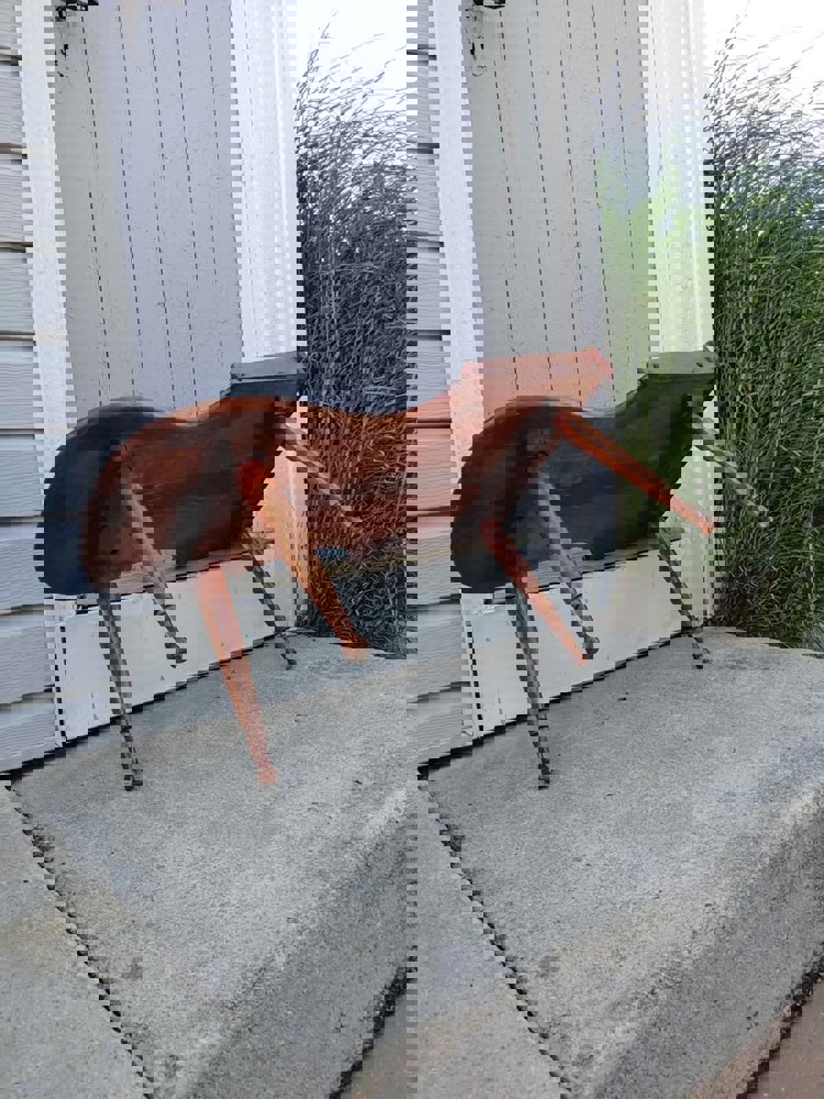 Mid-Century Cobbler Bench Style Solid Maple Coffee Table Circa 1960s